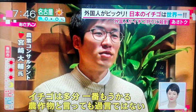 【テレビ出演】TBS朝の情報番組あさチャンのイチゴ特集に「農業コンサルタント」として出演