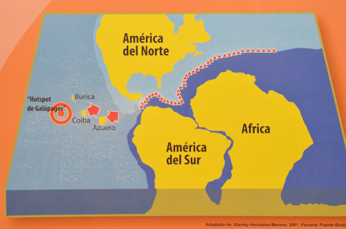 コイバ島とガラパゴス諸島の関係
