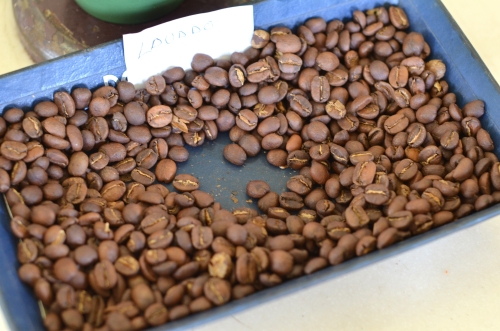 パナマのレリダ農園の焙煎したてのコーヒー豆
