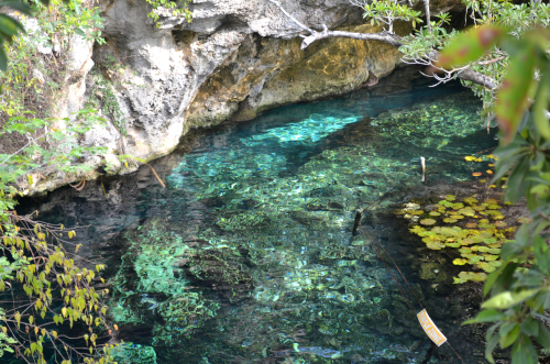 メキシコの絶景グランセノーテ！カンクンの地底湖にある洞窟がきれいすぎる