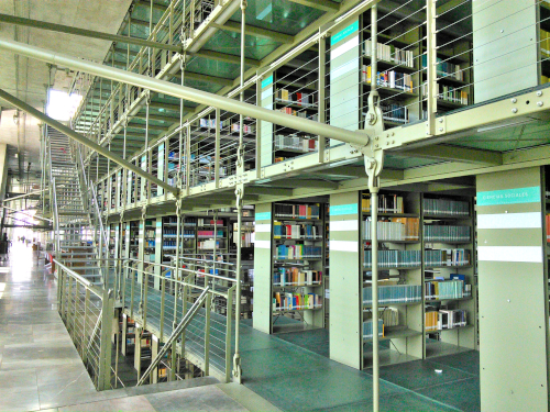 バスコンセロス図書館の本棚