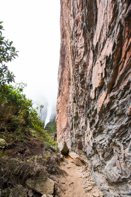 アウヤンテプイの頂上付近の断崖絶壁