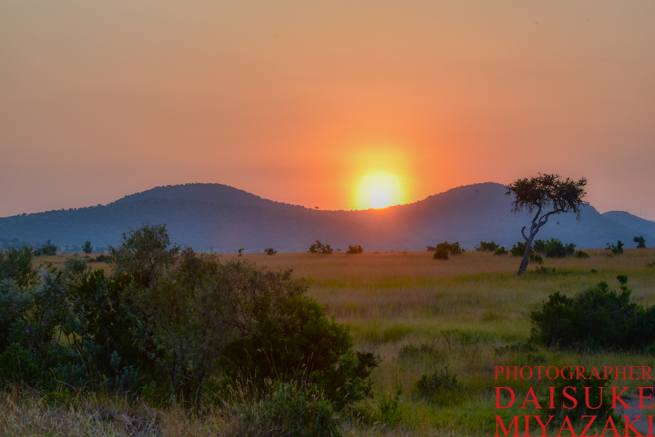 マサイマラ国立公園の朝日