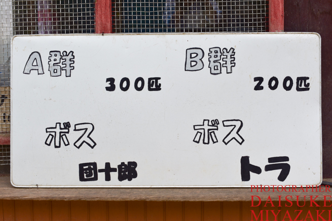 銚子渓自然動物園お猿の国の看板