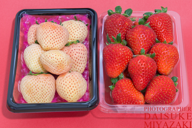 白イチゴはなぜ白くて値段が高い？白いちごの品種、白い理由、赤い苺との違い