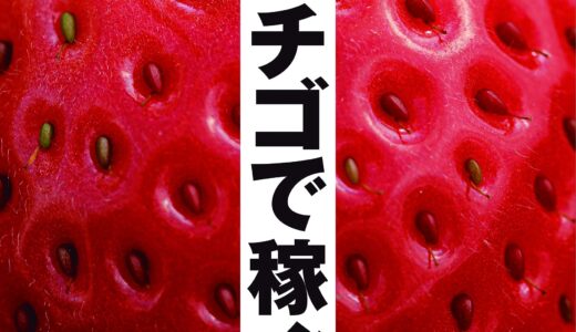 いちご栽培の適正な液肥のec値 濃度 は 水耕栽培と養液土耕栽培では違うし廃液ecと量も重要