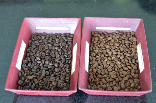 コーヒーの2種類の焙煎方法の比較