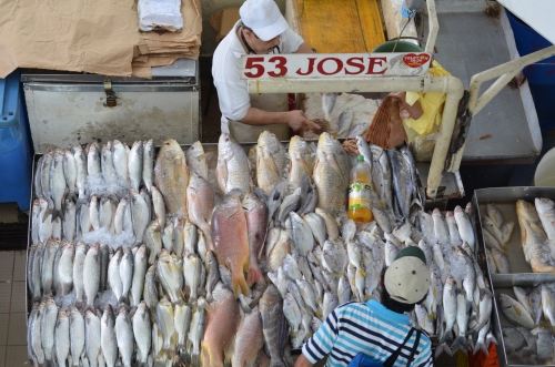 パナマの魚屋の豊富な品揃え