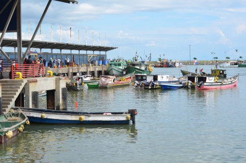 パナマシティの漁港に停泊する漁船