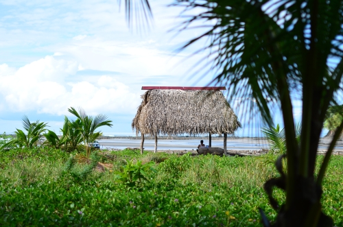 海岸に建つ伝統的なヤシの葉の小屋